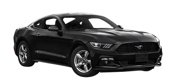Ford Mustang - New